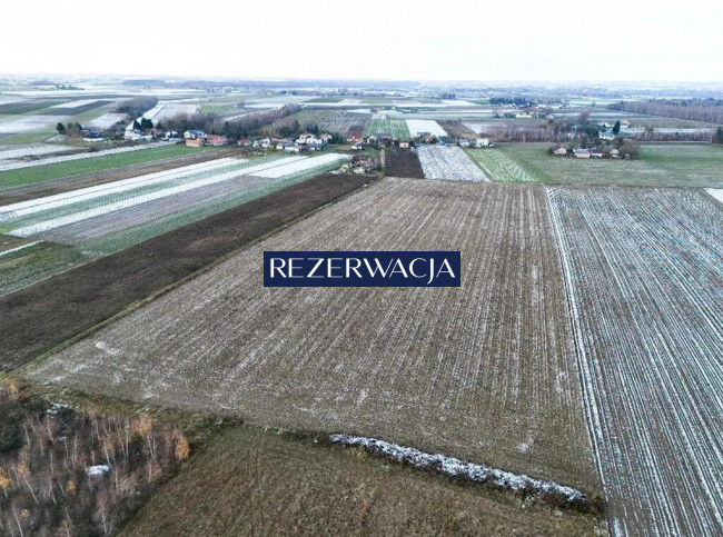 Działka Sprzedaż Kamienica-Wygoda 4