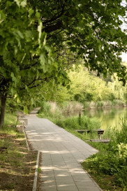 Mieszkanie Sprzedaż Warszawa Ochota Włodarzewska